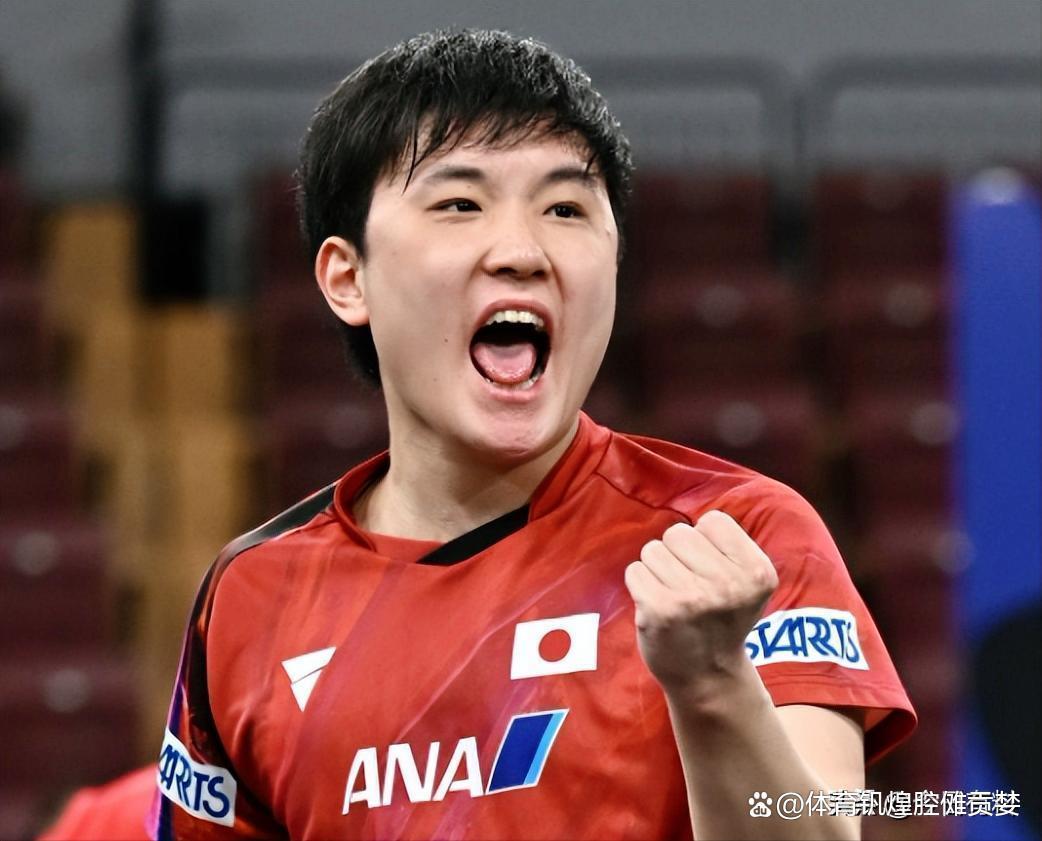 日本乒乓球队强势法国乒乓球队，张本智和惊艳世界