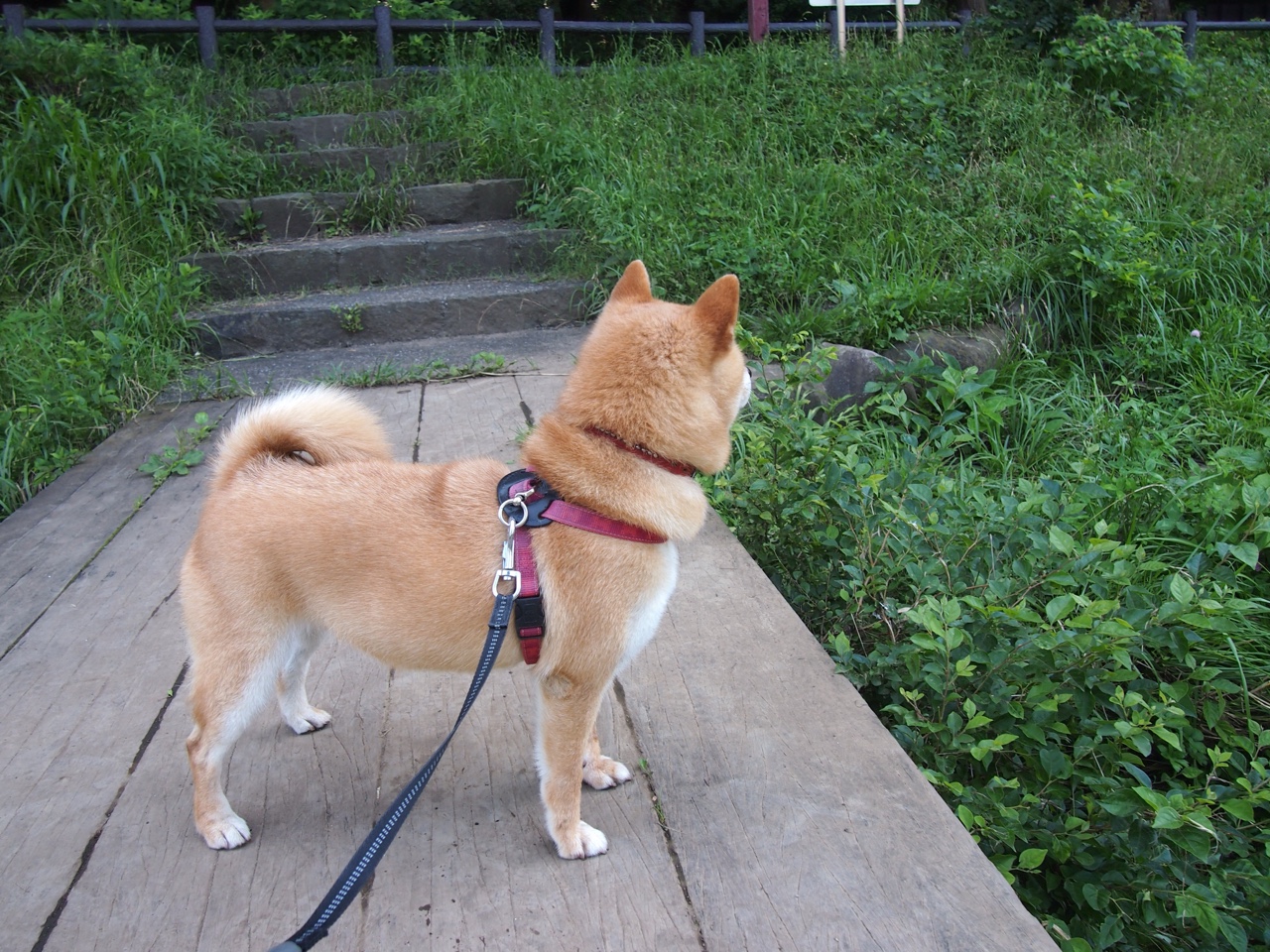 唯一换人，唯一进球，萨内92分钟绝杀改写碾压局剧本