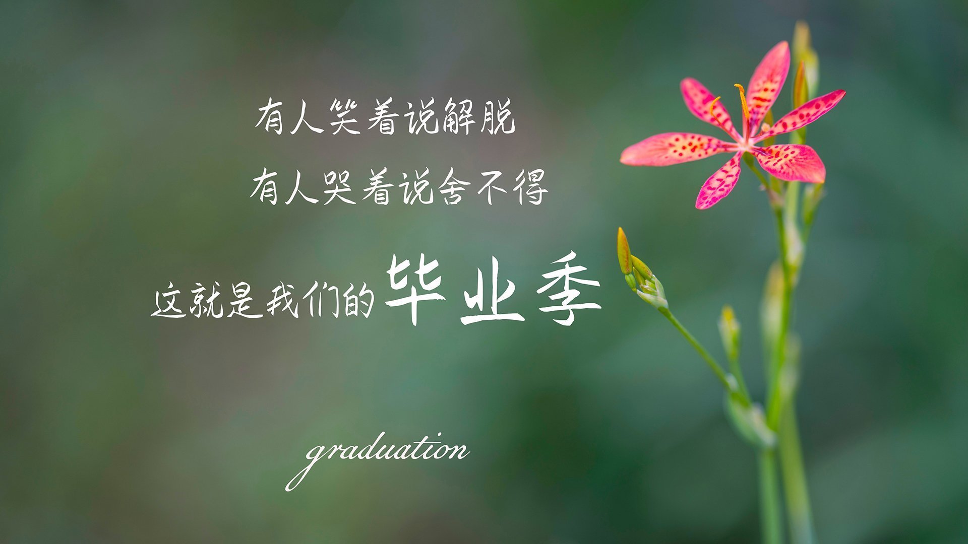 冰与火之歌，当丹麦的精密算度，遇见李梓嘉的野性怒吼