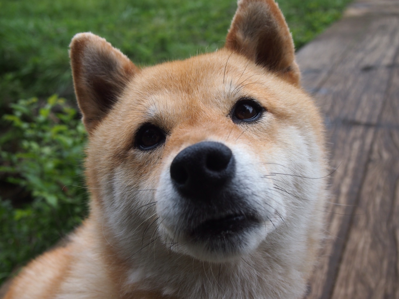 公牛稳胜马刺，杜兰特硬仗之王，篮球场上的硬核较量