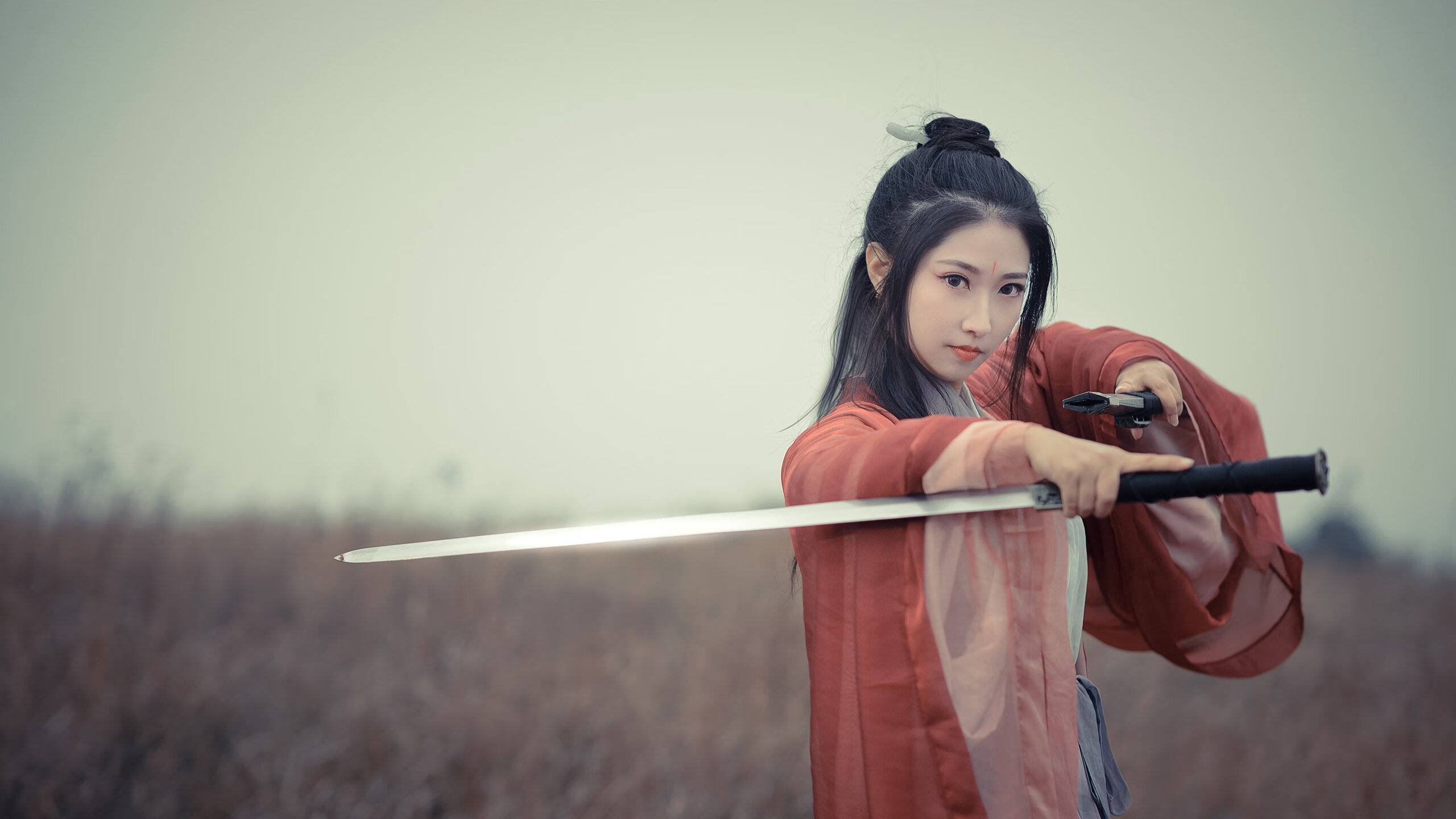 戈麦斯之光，一位被遗忘者的觉醒与一场法兰西意志的史诗级逆转