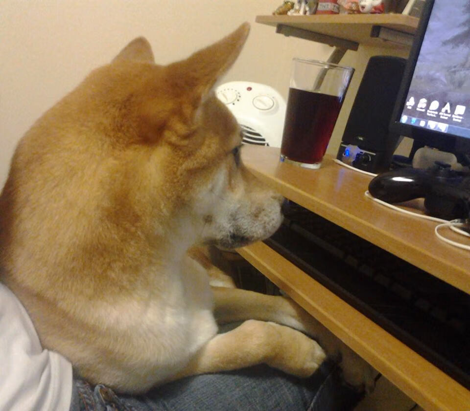 德罗赞冰封森林狼，尼克斯速胜背后的降维打击