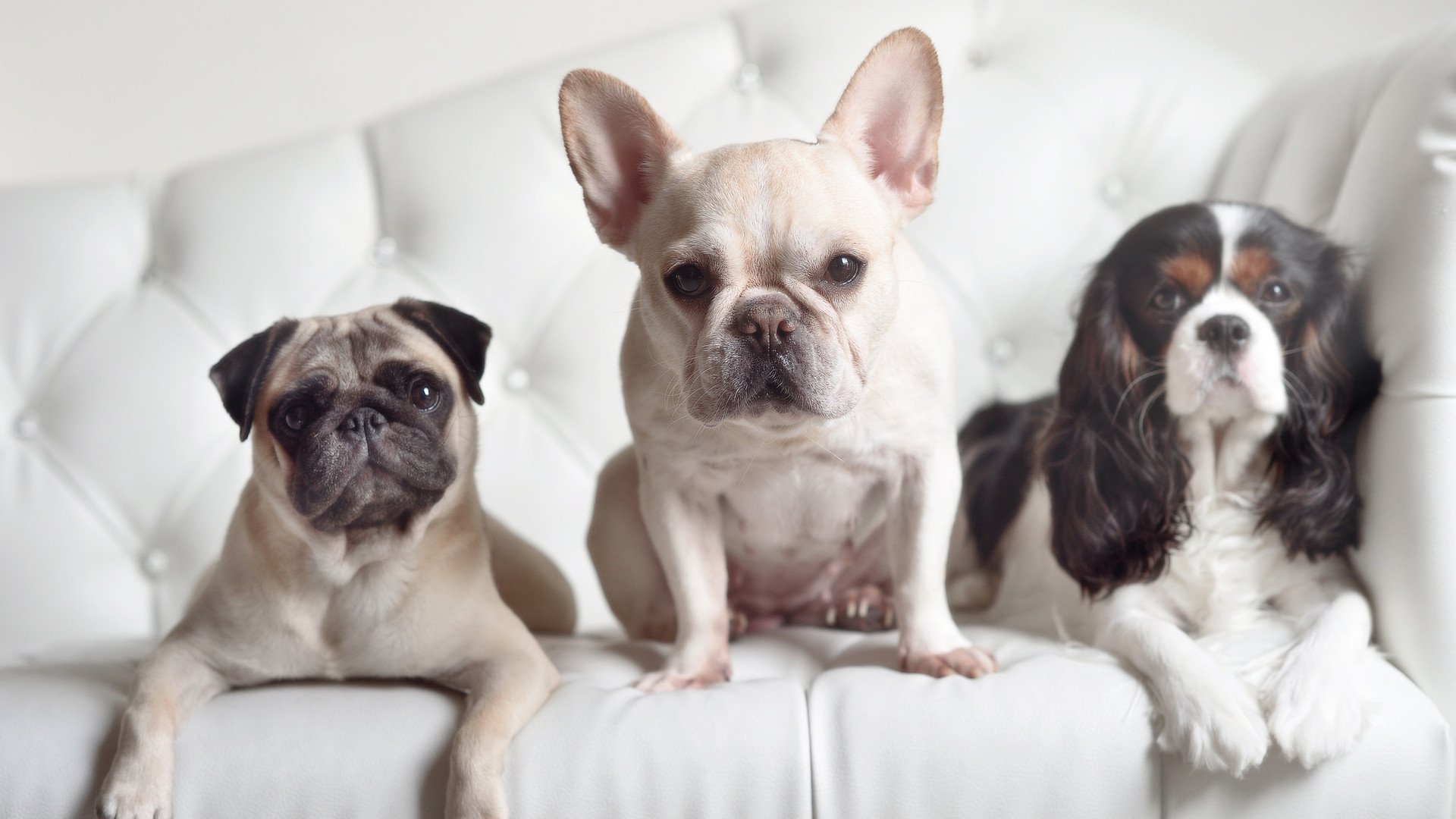 防守之神陷落之夜，当范戴克数据爆炸遭遇委内瑞拉式逆袭