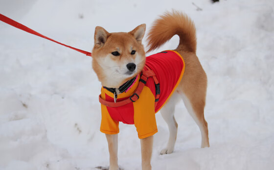 萨卡穿越？雷恩1-3莱比锡背后的真正差距制造者