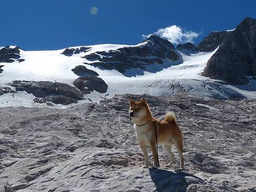 双重奏，帕尔默数据封神之夜，巴黎欧冠征程再启航