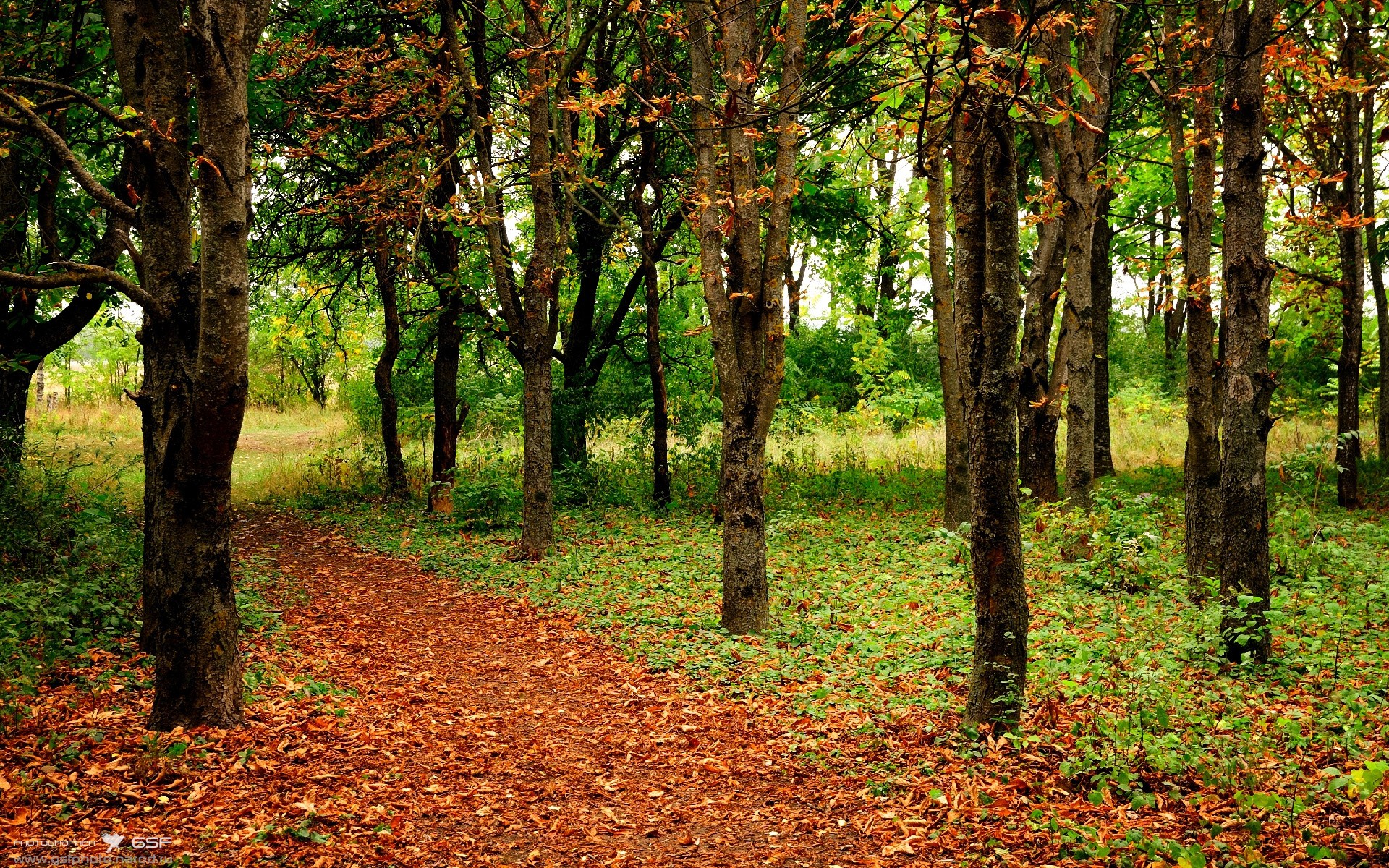 开云下载-塔图姆的独舞，76人对阵鹈鹕，进攻端唯一性的完美体现