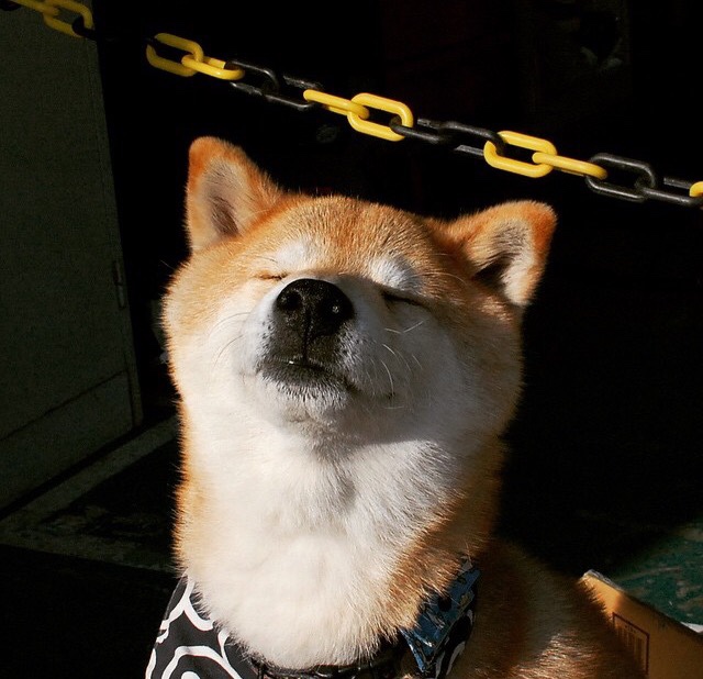 虚拟之战，当深圳队跨时空对决76人，杜兰特如何成为灵魂黏合剂？