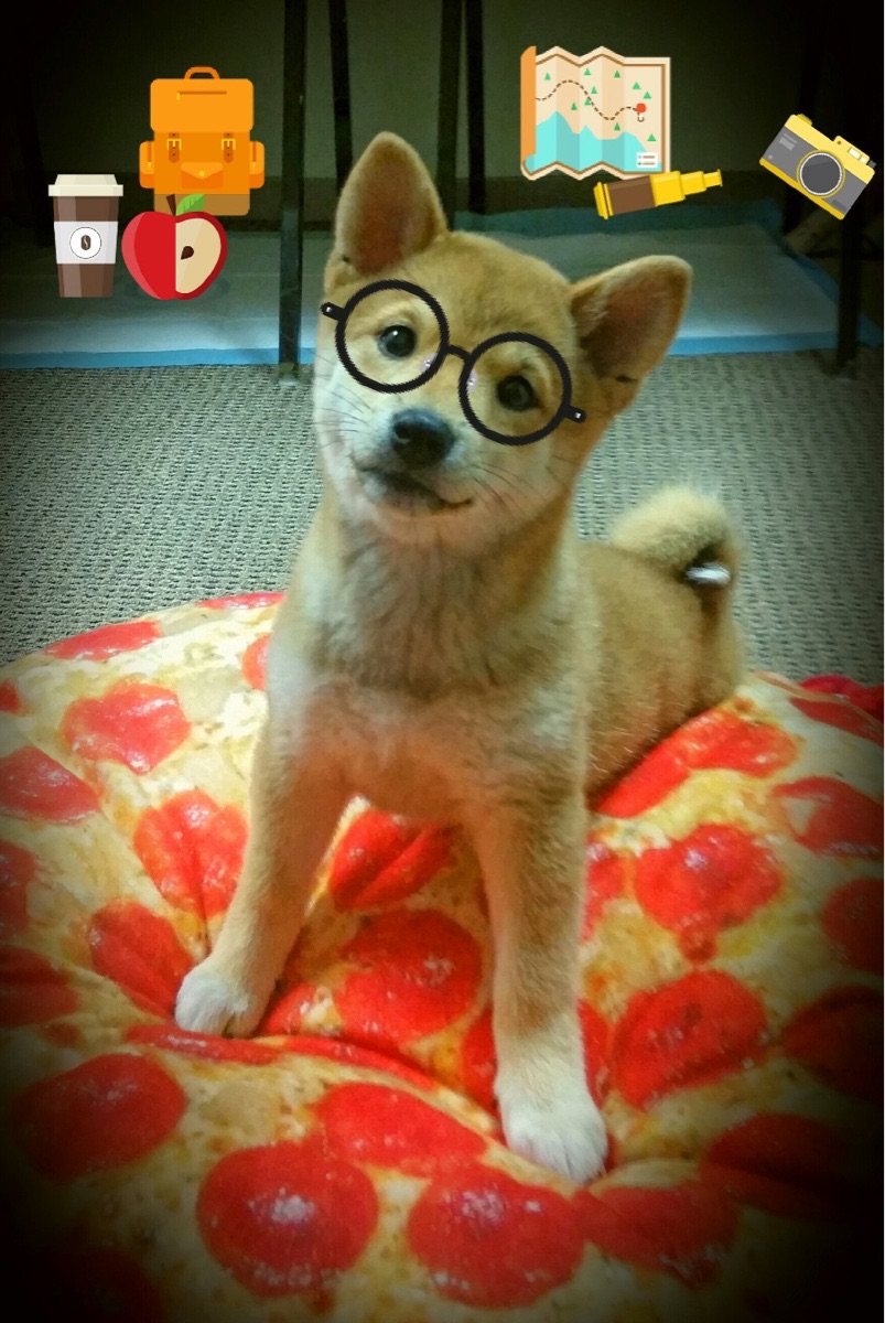 球队机器吞噬国王,却在哈登的独舞面前震颤,当我们遇到我,谁才是真正的唯一?