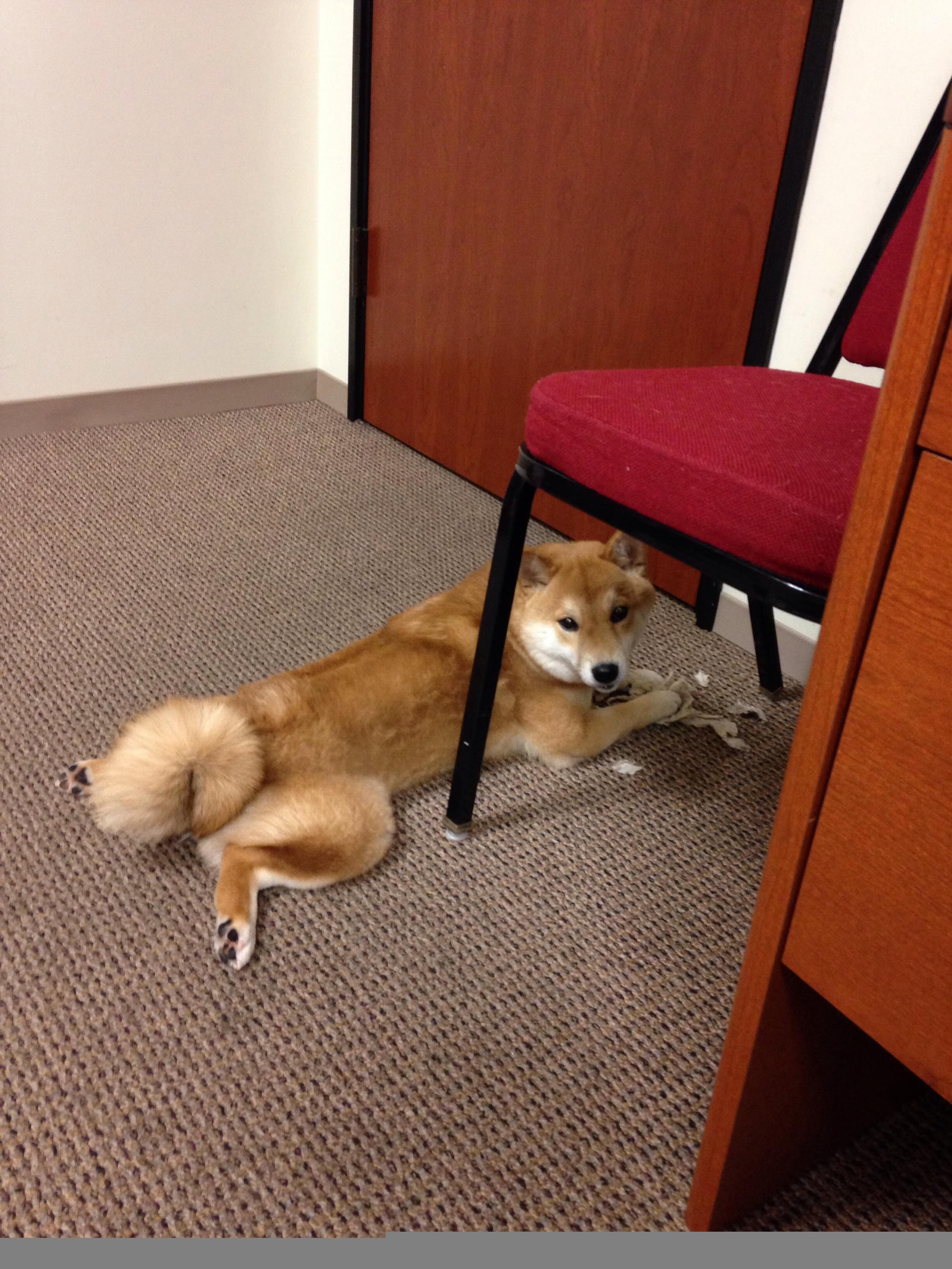 激情四射的篮球盛宴，开拓者与深圳的血汗较量，哈登笑到最后