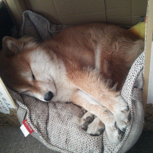 当欧冠决赛迎来国家队,马里补时绝杀阿根廷,改写百年足球史