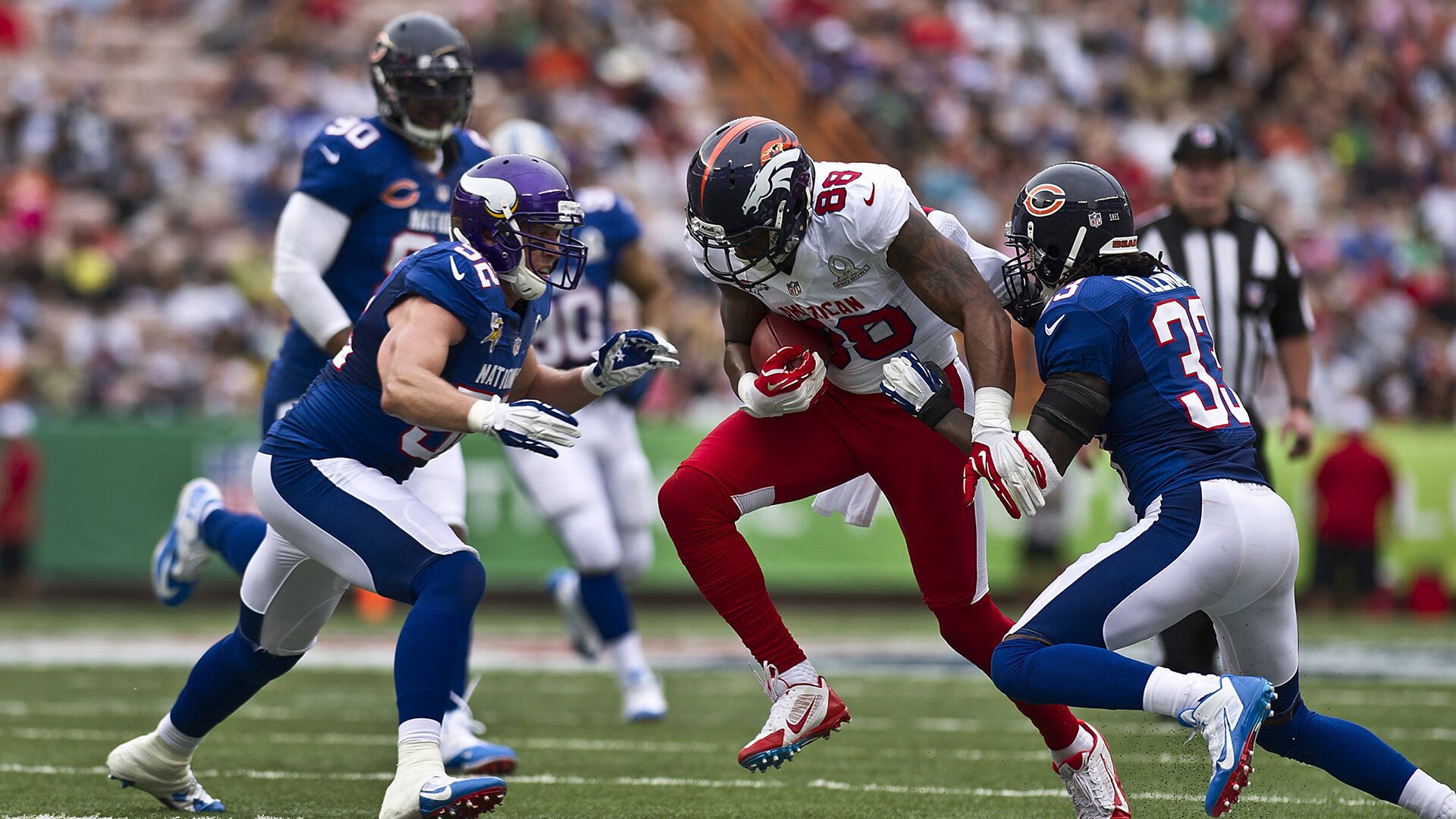 浓眉如刀,一场非典型浓眉如何切开西北狼群