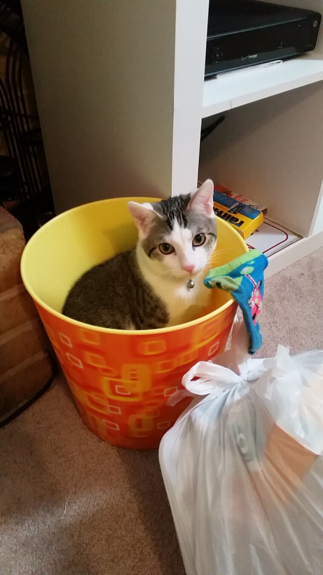 足球战争—当智利与法国的绿茵场上,托尼的一脚将天堂之路踩成地狱入口