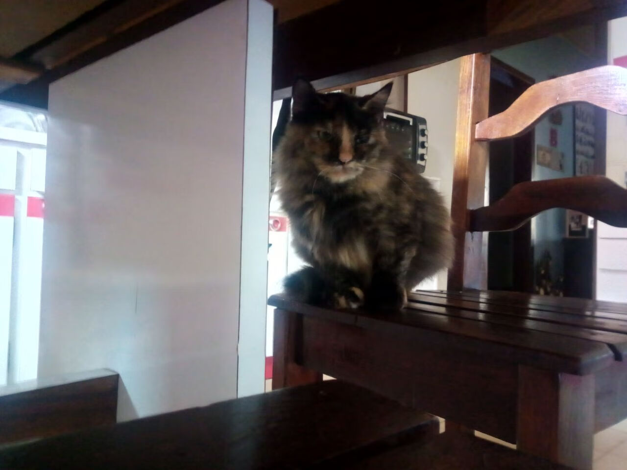 错位时空的统治,当穆勒乱入厄瓜多尔对阵克罗地亚之战