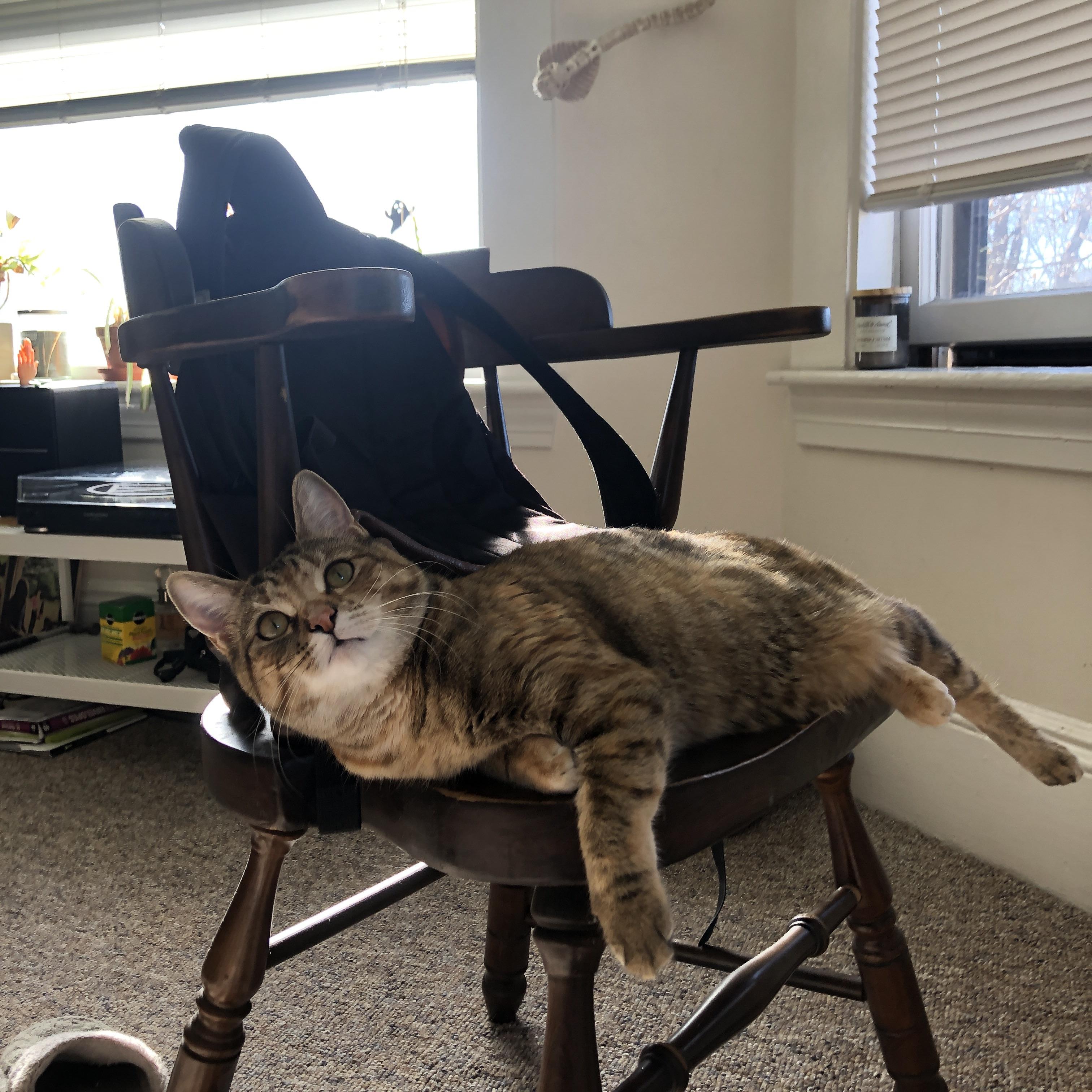 关键先生，当英雄主义在不同赛场同时闪耀