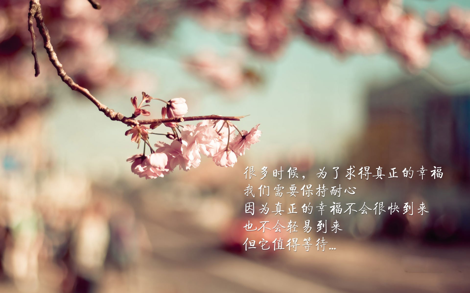 最后一秒的神迹,苏亚雷斯用灵魂绝杀,巴西与美国的宿命在2026世界杯H组刻下永恒
