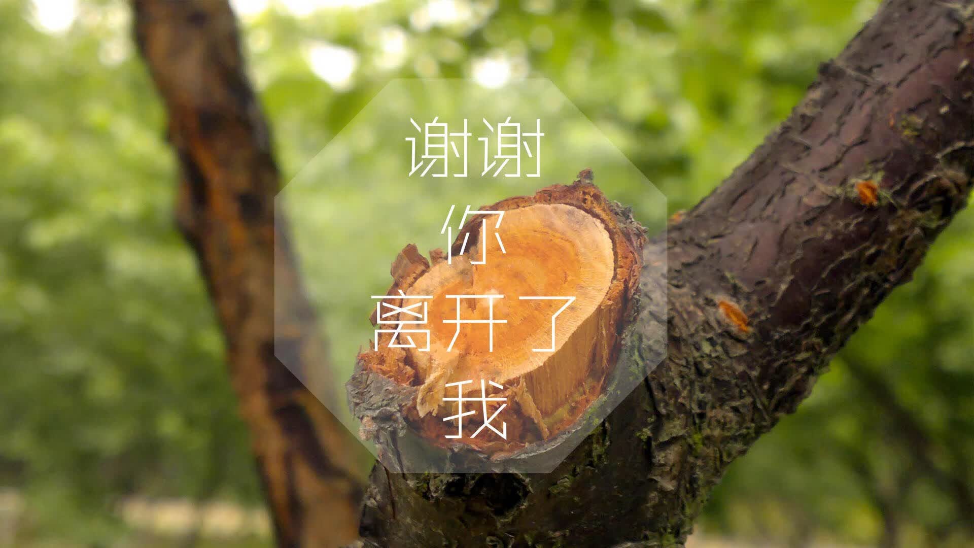 南美狂飙,2026世界杯H组,巴西碾压斯洛伐克,努涅斯致命一击书写唯一剧本
