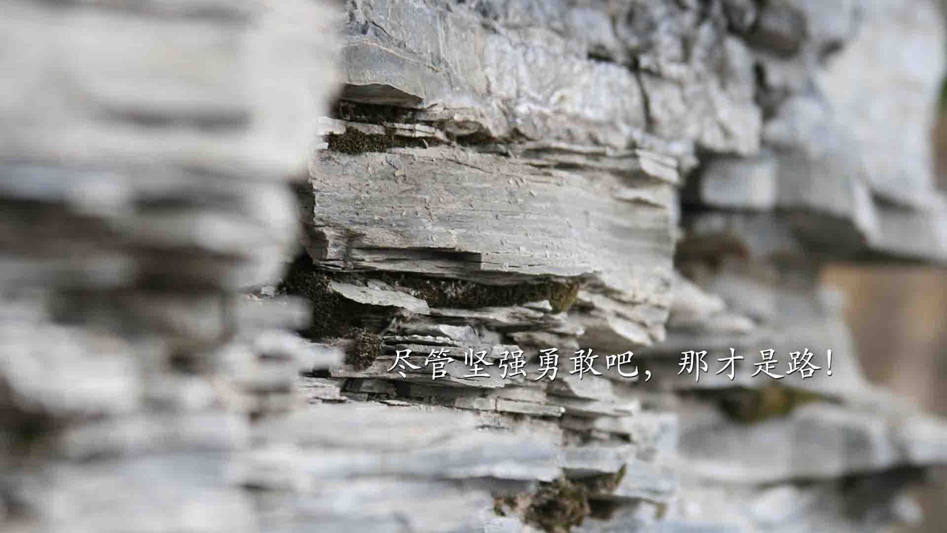 冰与火之歌,雷克雅未克的寒冰意志,在美利坚的钢铁洪流中,被苏亚雷斯的最后一抹暖阳融化